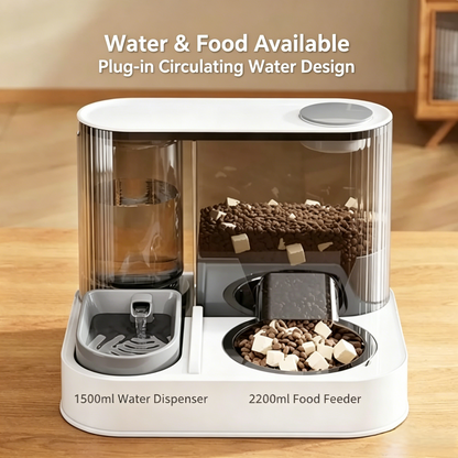 2-in-1 Pet Feeder & Water Fountain